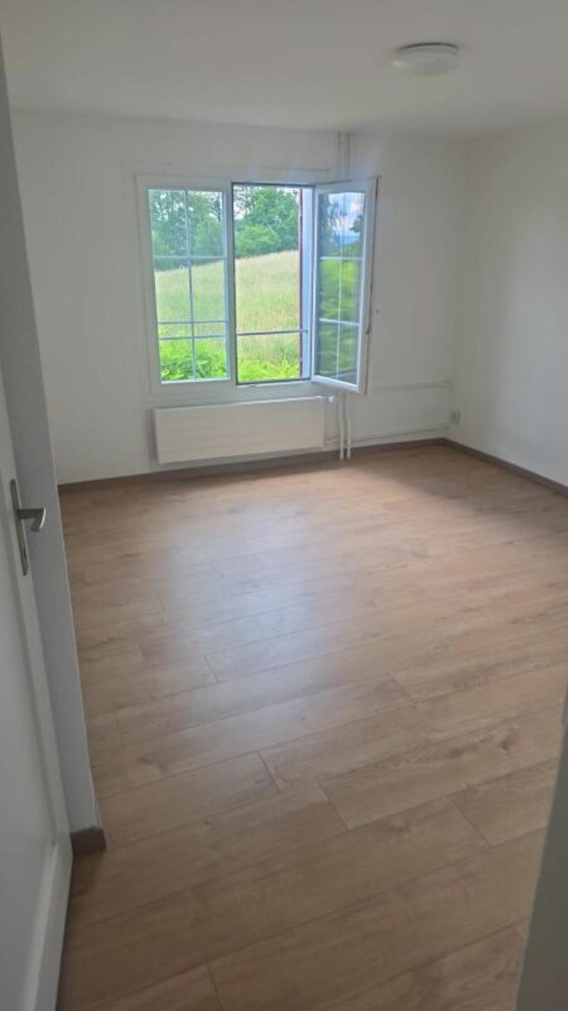 Appartamento di 3 locali ristrutturato a Kreuzlingen (9)