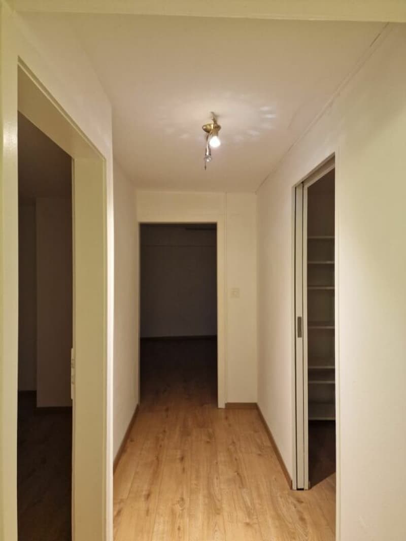 Appartamento di 3 locali ristrutturato a Kreuzlingen (8)
