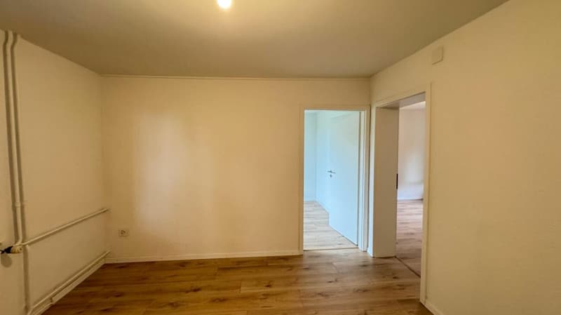 Appartamento di 3 locali ristrutturato a Kreuzlingen (3)