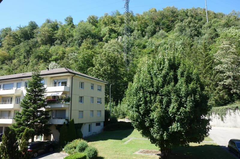 Ampio appartamento moderno di 4,5 locali a Trimbach (1)