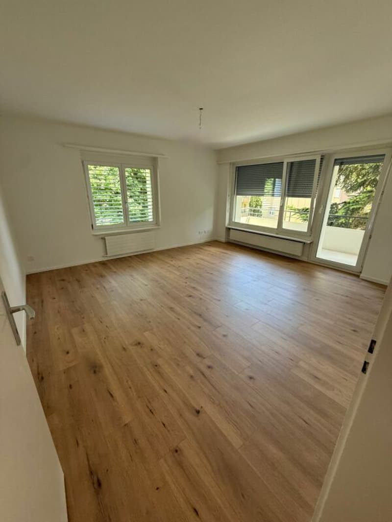 Ampio appartamento moderno di 4,5 locali a Trimbach (11)