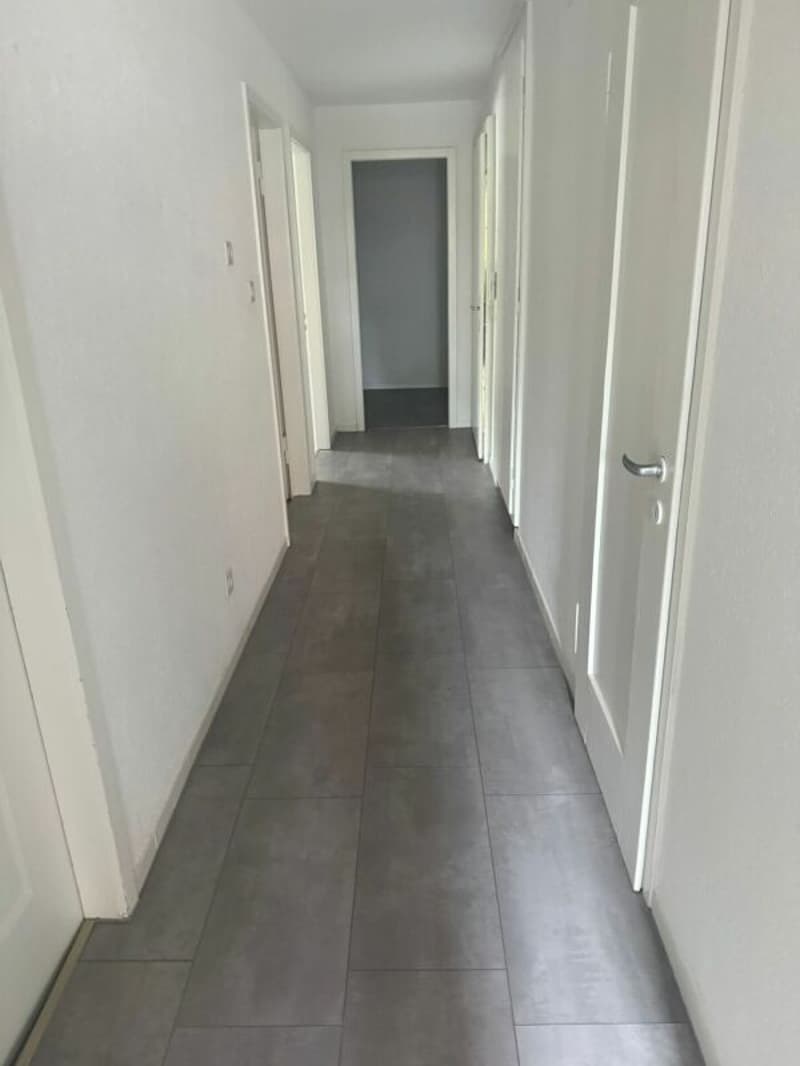 Helle 3 Zimmerwohnung in Aarburg (4)