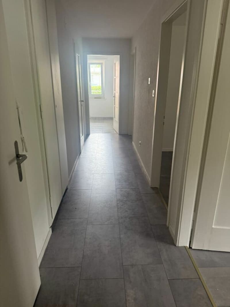 Helle 3 Zimmerwohnung in Aarburg (6)