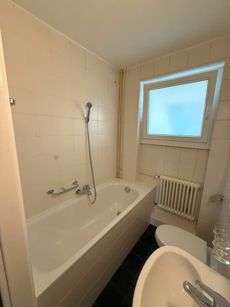Schöne 3-Zimmerwohnung - zentral und sofort bezugsbereit (3)