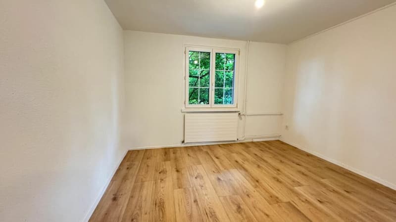 Appartamento di 3 locali ristrutturato a Kreuzlingen (1)
