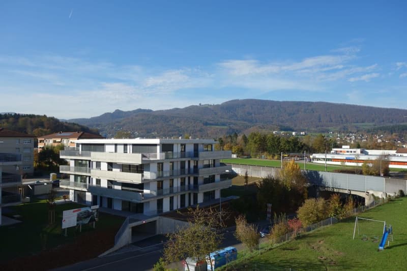Moderne 2-Zimmer-Wohnung an ruhiger Lage - per sofort zu vermieten (13)