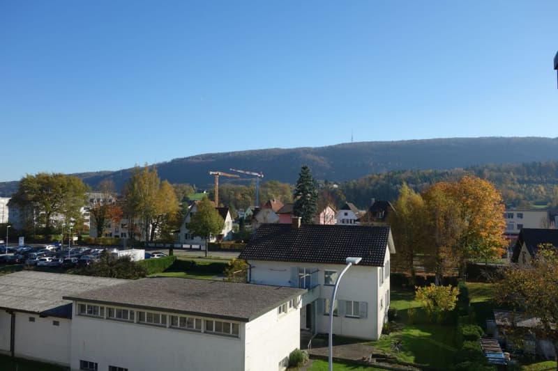 Moderne 2-Zimmer-Wohnung an ruhiger Lage - per sofort zu vermieten (12)