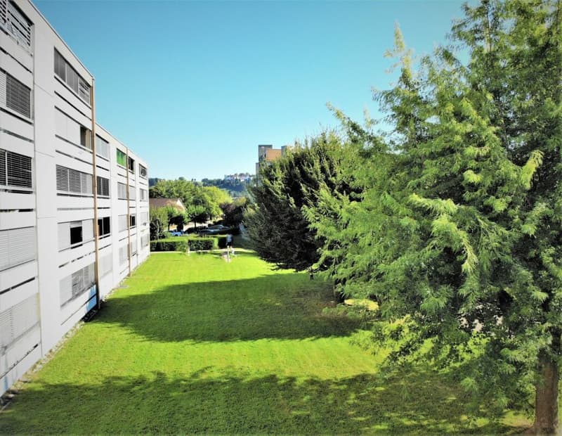 Wunderschöne und grosszügige 3.5-Zimmer-Wohnung - per sofort verfügbar (9)