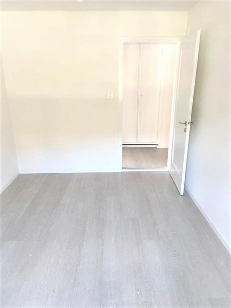 Neu Sanierte 3 Zimmerwohnung zentrale Lage ! (8)
