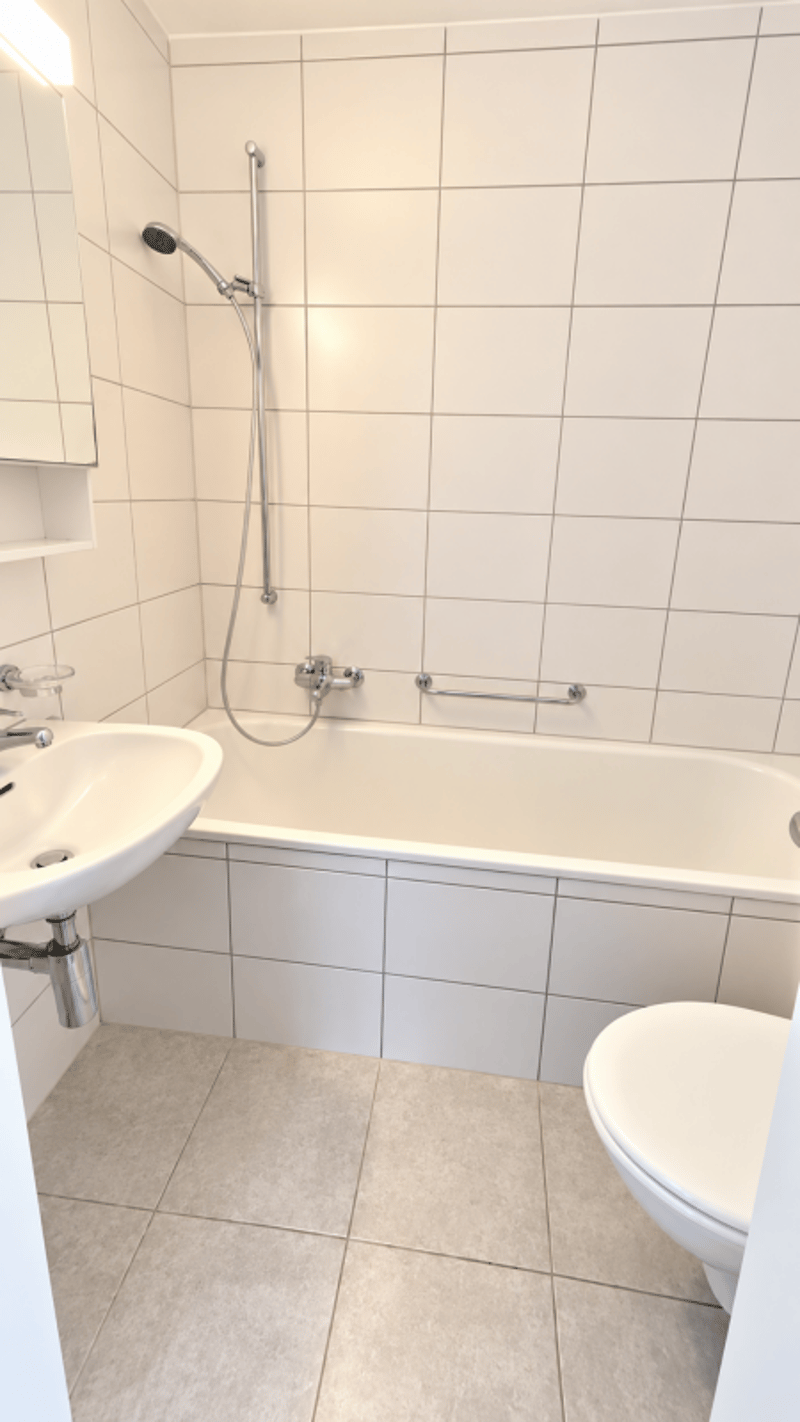 Neu Sanierte 2. Zimmerwohnung zentrale Lage ! (7)