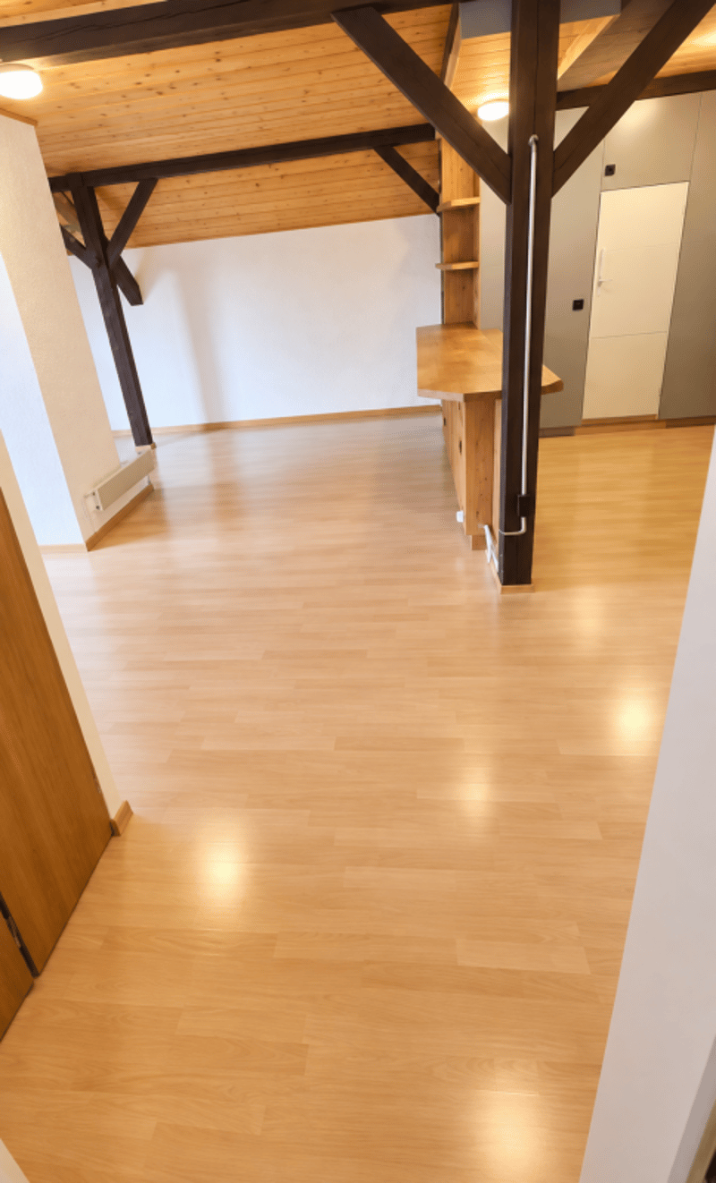 Charmante Dachwohnung direkt neben der Universität St. Gallen (HSG) (8)