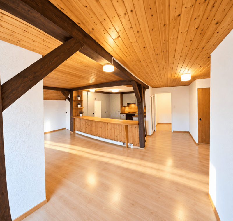 Charmante Dachwohnung direkt neben der Universität St. Gallen (HSG) (3)