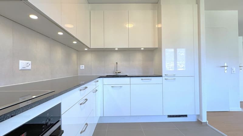 Première occupation appartement 4,5 pièces 140 m2 - complètement rénové - 3 balcons - situation calme à Solothurn (1)