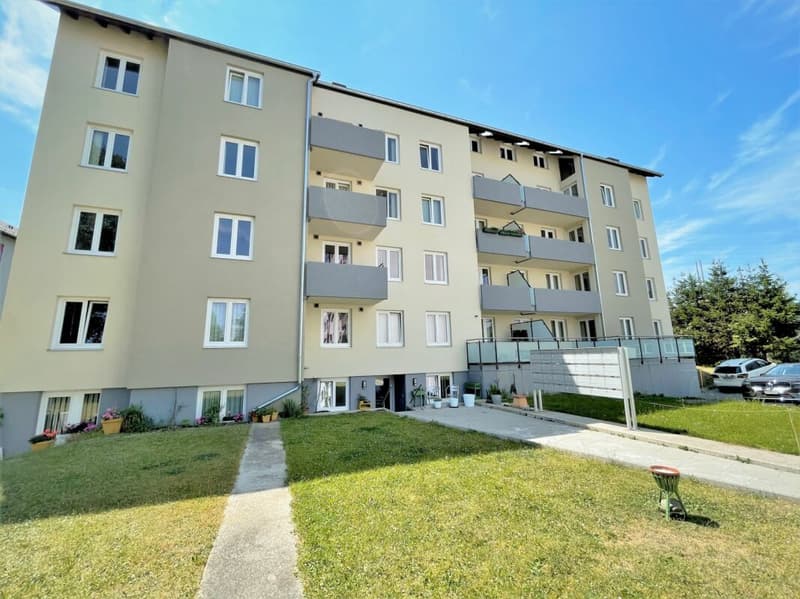 Ampio appartamento di 2.5 locali in zona tranquilla con balcone, posto auto e buona accessibilità (15)