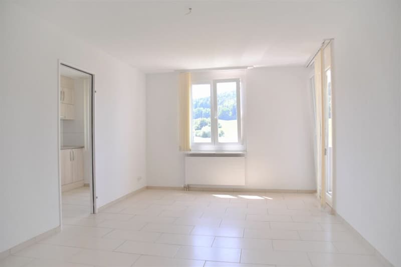 Ampio appartamento di 2.5 locali in zona tranquilla con balcone, posto auto e buona accessibilità (13)