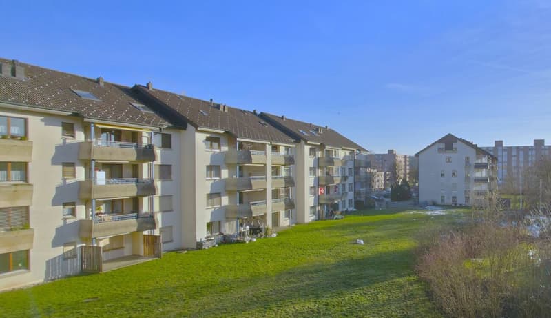 Grande Appartamento Maisonnette Ristrutturato con Balcone in una Posizione Tranquilla a Solothurn (20)