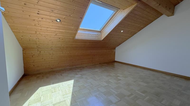 Grande Appartamento Maisonnette Ristrutturato con Balcone in una Posizione Tranquilla a Solothurn (15)