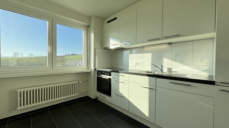 Bello appartamento 4.5 locali ristrutturato con vista a Delémont (1)