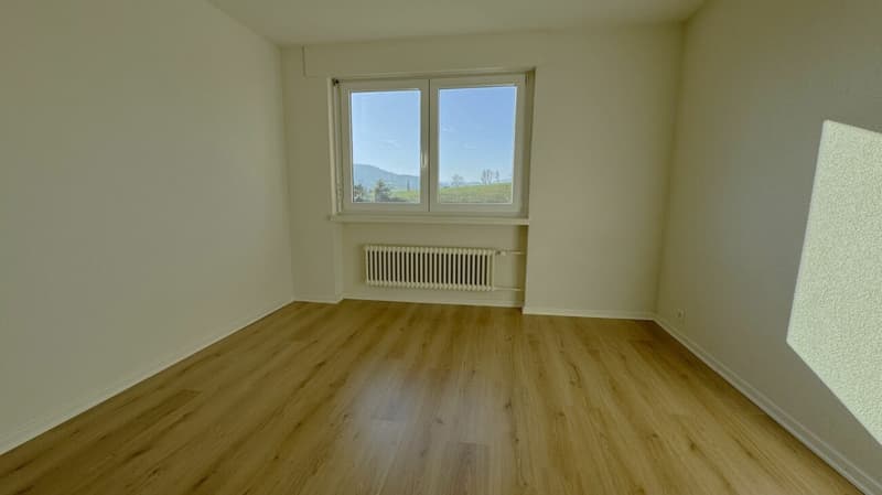 Bello appartamento 4.5 locali ristrutturato con vista a Delémont (6)