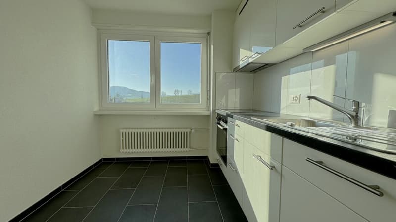 Bello appartamento 4.5 locali ristrutturato con vista a Delémont (2)