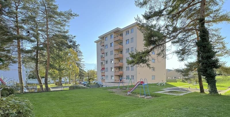 Bello appartamento 4.5 locali ristrutturato con vista a Delémont (11)