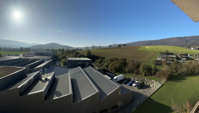 Bello appartamento 4.5 locali ristrutturato con vista a Delémont (4)