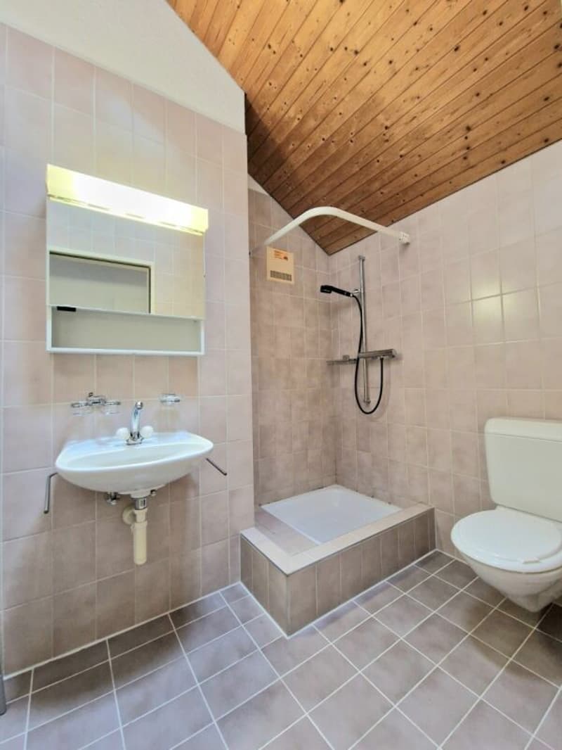 Grosse Sanierte 5.0 Maisonette Wohnung mit Balkon in einer ruhiger Lage Solothurn (8)