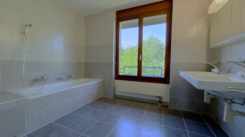 Grosse Sanierte 5.0 Maisonette Wohnung mit Balkon in einer ruhiger Lage Solothurn (14)