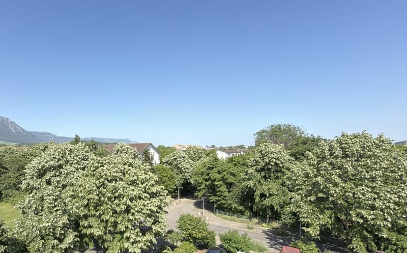 Eine sanierte und helle 3.5 Wohnung in einer ruhiger Lage Solothurn (16)