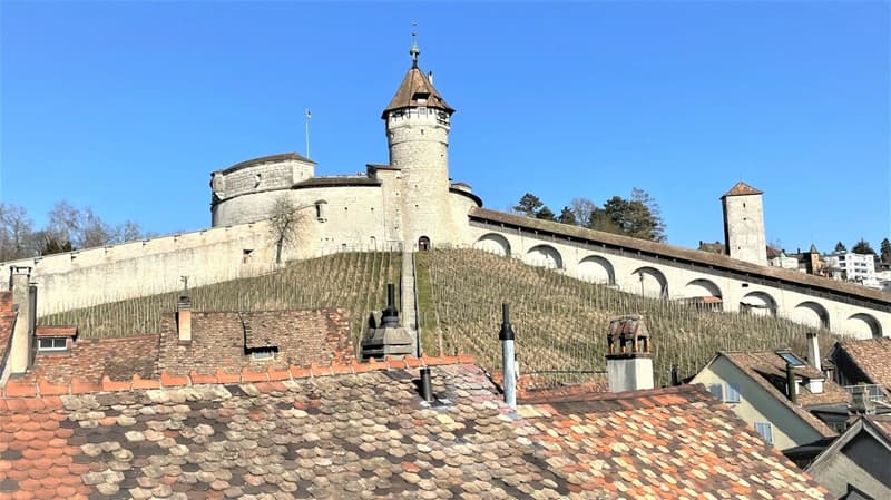 Kernsaniertes Anlageobjekt in der Altstadt - ca. 4 % Nettorendite (12)