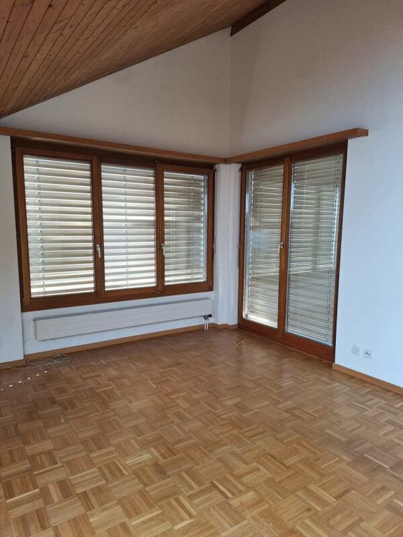 Eine sanierte und helle 2.5 Wohnung in einer  ruhiger Lage Solothurn (10)