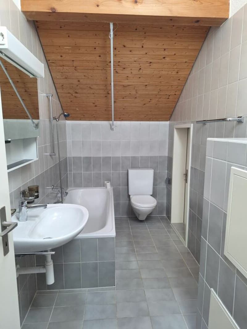 Eine sanierte und helle 2.5 Wohnung in einer  ruhiger Lage Solothurn (2)