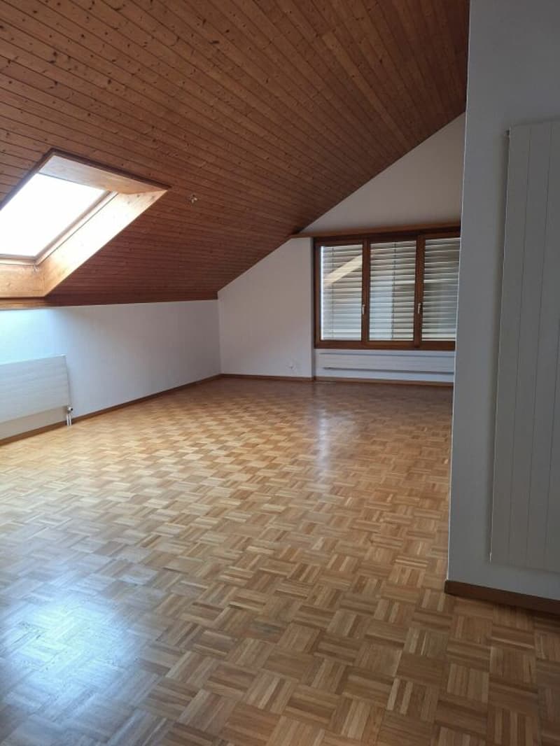 Eine sanierte und helle 2.5 Wohnung in einer  ruhiger Lage Solothurn (4)