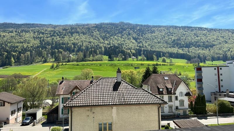 Bel appartement moderne et lumineux de 3 pièces à Perrefitte/Moutier (6)