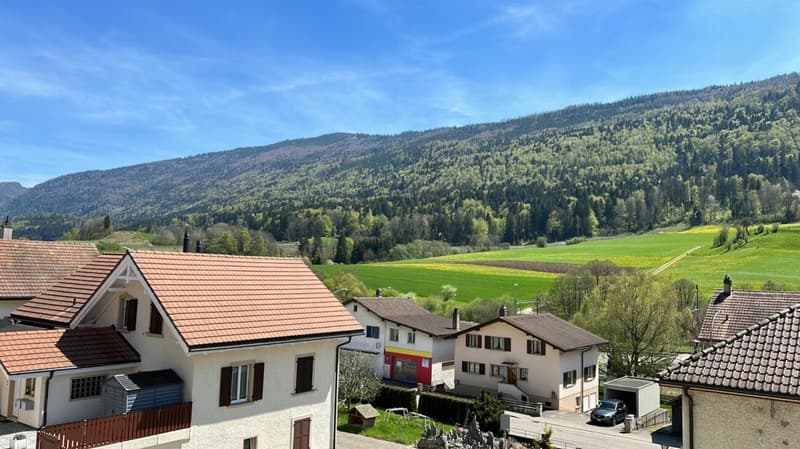 Bel appartement moderne et lumineux de 3 pièces à Perrefitte/Moutier (3)