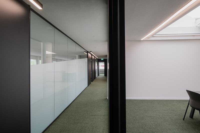 Office corridor, with glass walls and ceiling, black panels, gray flooring, ceiling lights.