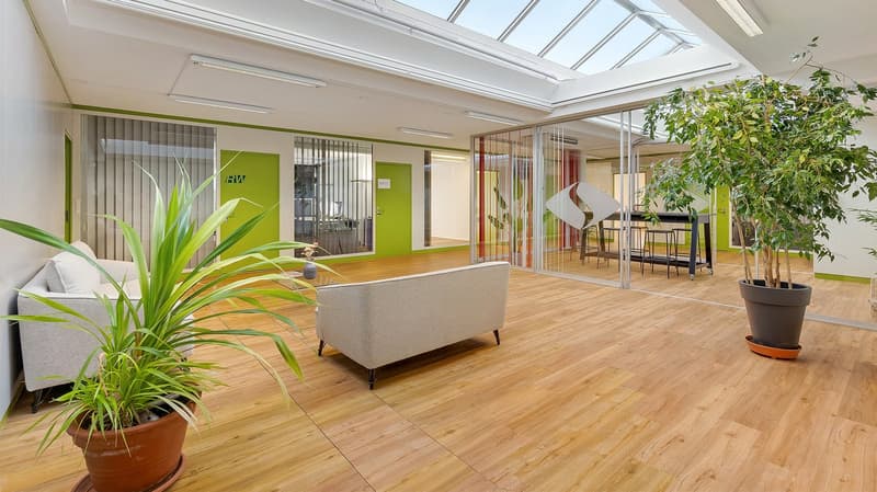 modern office space, wooden floor, white walls, glass partitions, two couches, two potted plants, glass ceiling