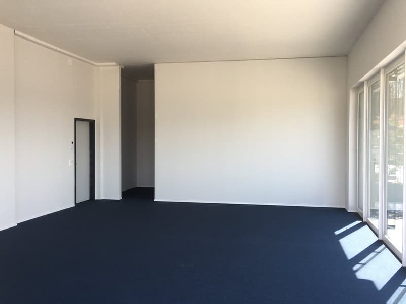 empty room, white walls, blue carpet, glass doors, white ceiling