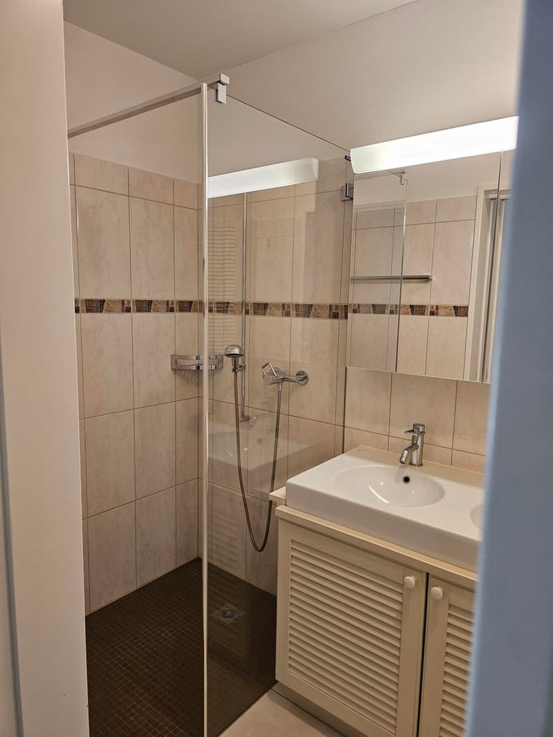Modern 4.5-room ground-floor apartment in Frauenfeld (8)