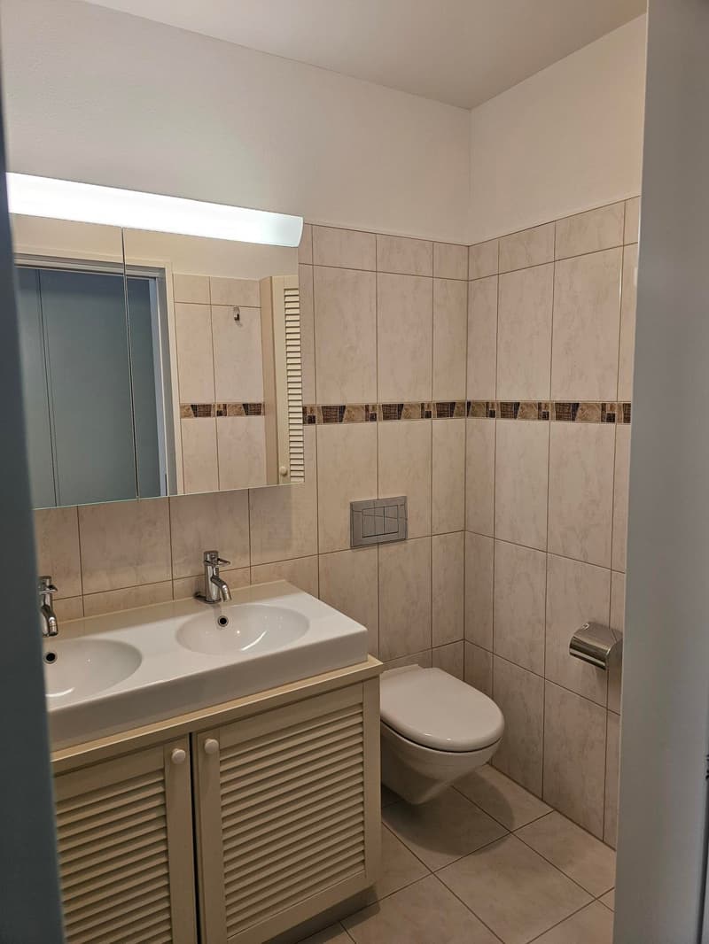 Modern 4.5-room ground-floor apartment in Frauenfeld (9)