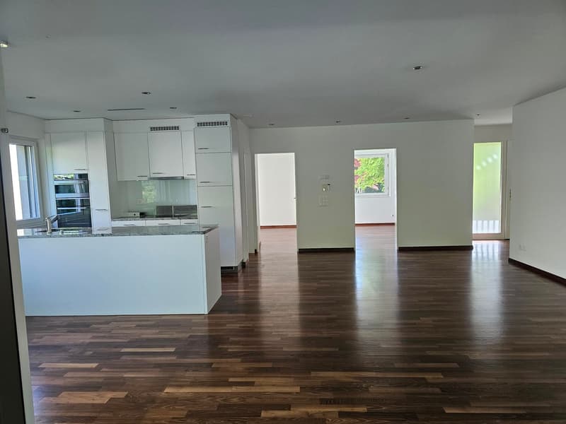 Modern 4.5-room ground-floor apartment in Frauenfeld (2)