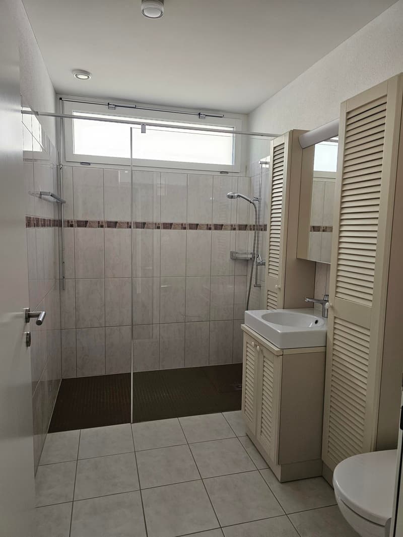 Modern 4.5-room ground-floor apartment in Frauenfeld (11)