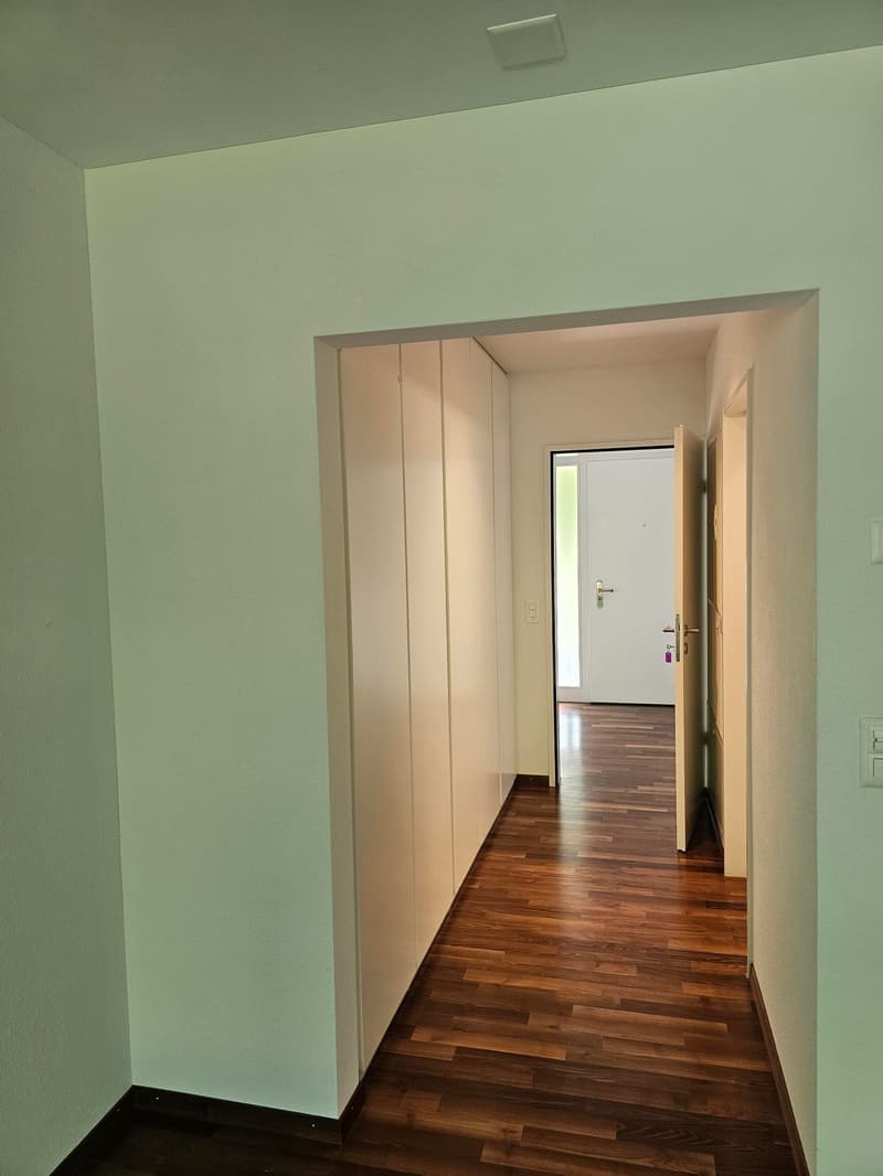 Modern 4.5-room ground-floor apartment in Frauenfeld (7)