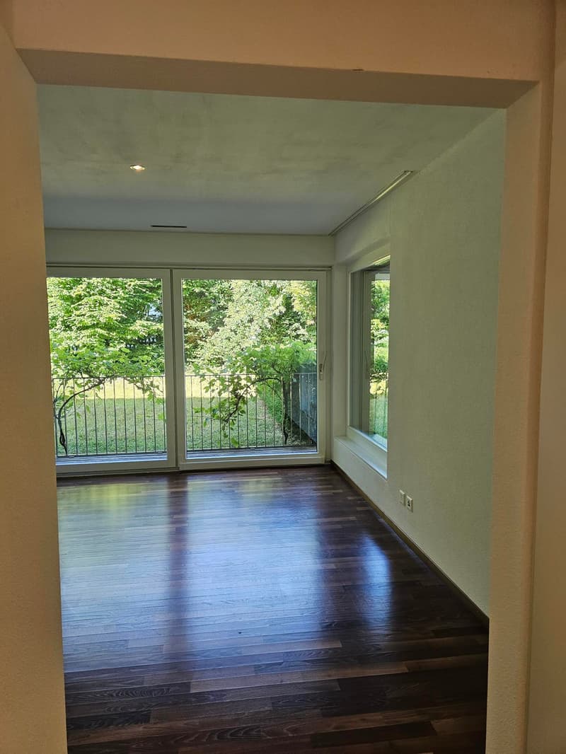 Modern 4.5-room ground-floor apartment in Frauenfeld (6)