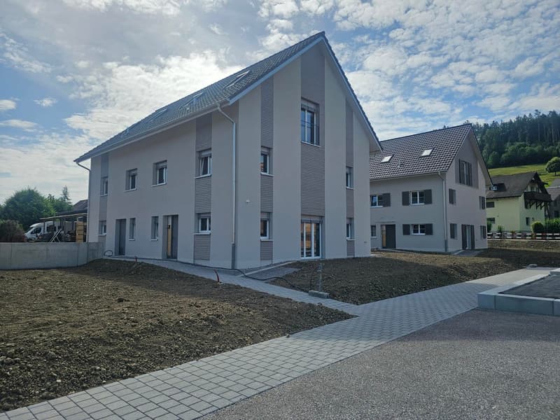letztes Reihen-Eck-Haus (1)