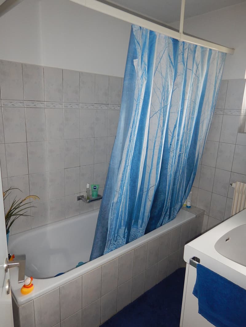 Zu vermieten: 3.5 Zimmerwohnung mit schöner Aussicht (12)