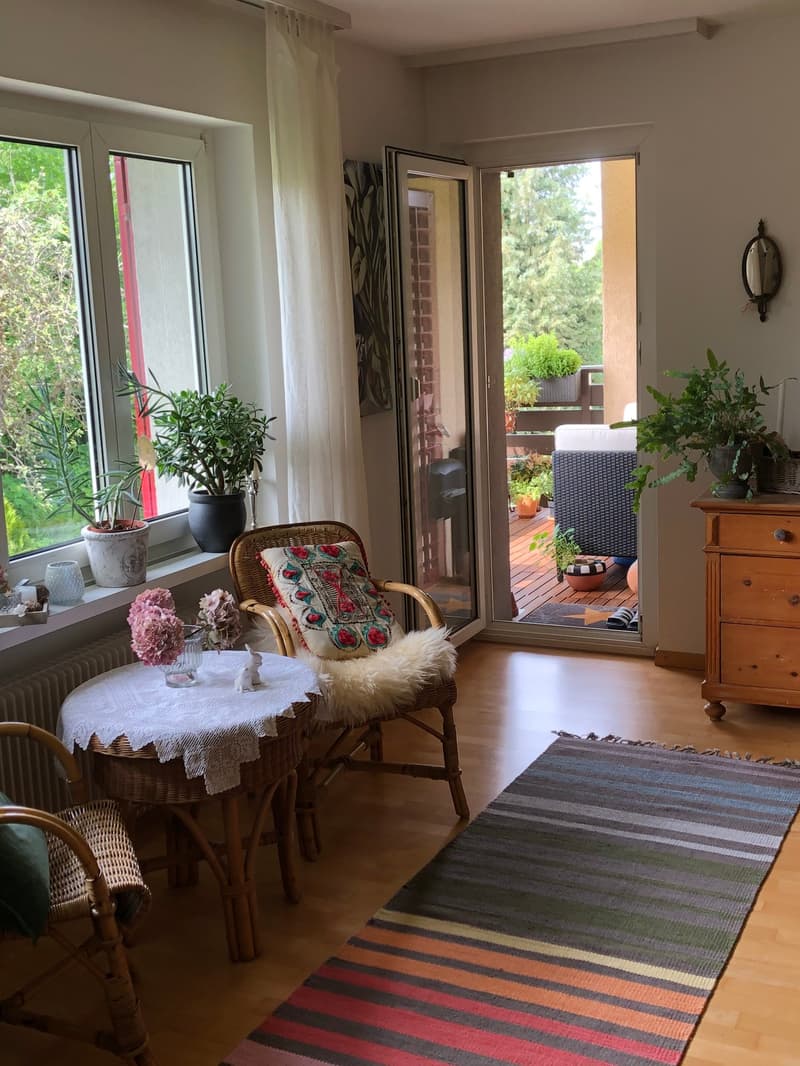 Zu vermieten: 3.5 Zimmerwohnung mit schöner Aussicht (4)