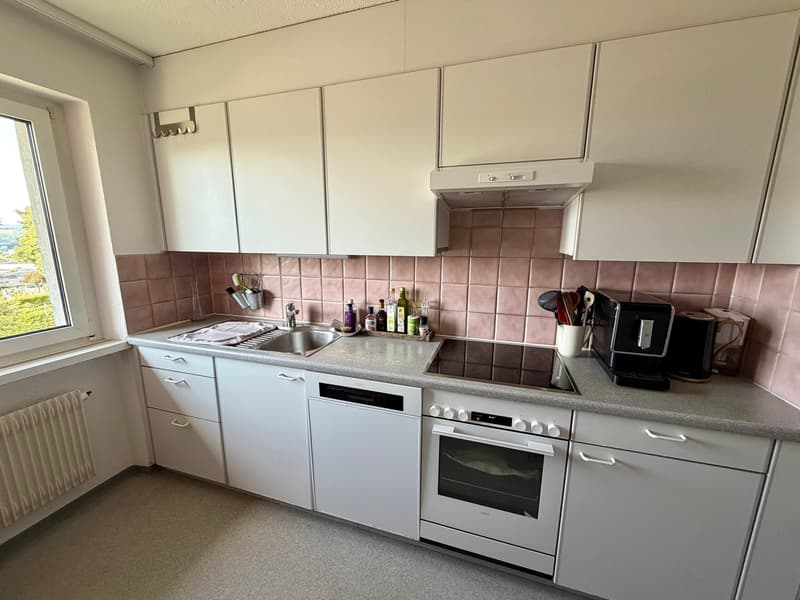 Zu vermieten: 3.5 Zimmerwohnung mit schöner Aussicht (6)