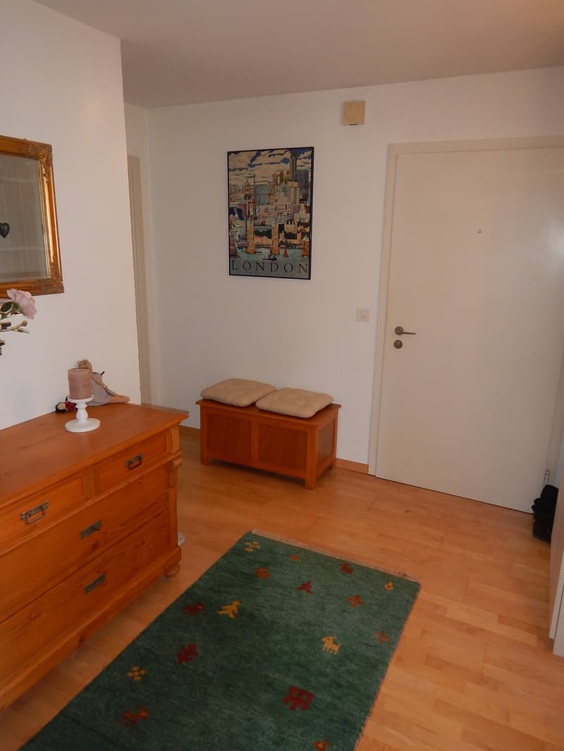 Zu vermieten: 3.5 Zimmerwohnung mit schöner Aussicht (7)