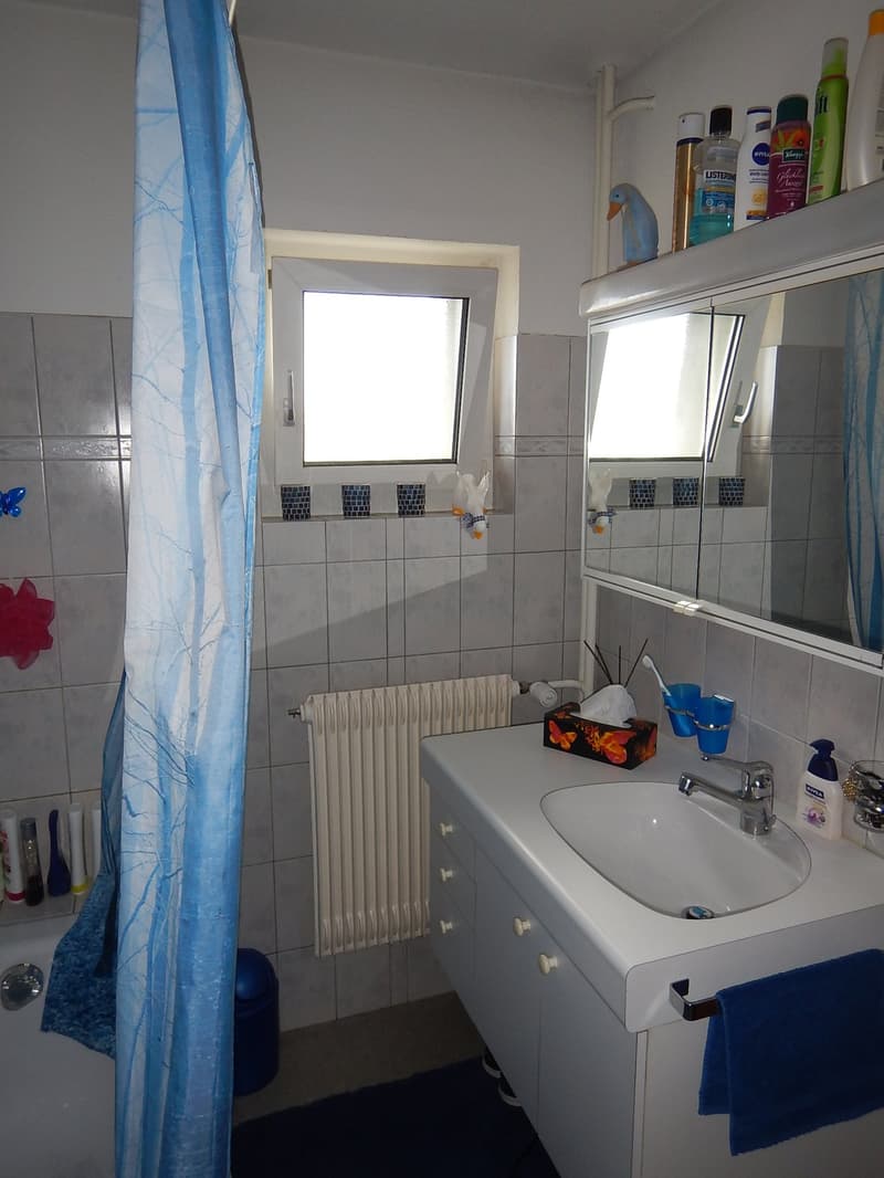 Zu vermieten: 3.5 Zimmerwohnung mit schöner Aussicht (11)